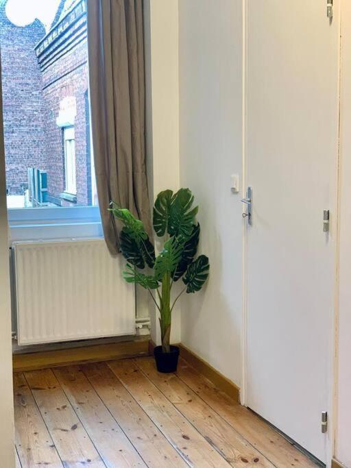 Maison 3 Chambres - 600M Metro Marbrerie - Lille 몽장바뢸 외부 사진